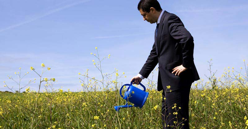 Man watering wildflowers